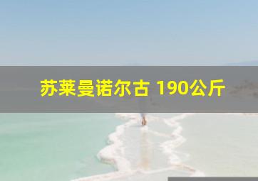 苏莱曼诺尔古 190公斤